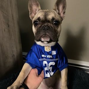 Small dog Giants jersey